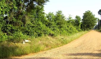263 LR 182, Ashdown, AR 71822