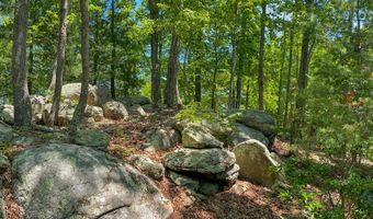 151 Stoneybrook Rd, Amherst, VA 24521