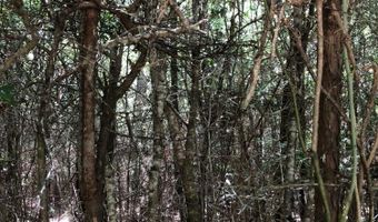 Parcel A Yellow River Baptist Church Road 22 Ac+/-, Baker, FL 32531
