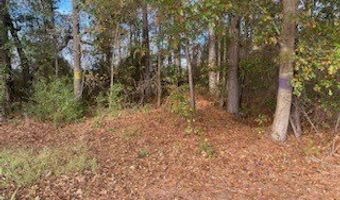 Beaver Dam Road, Autryville, NC 28318