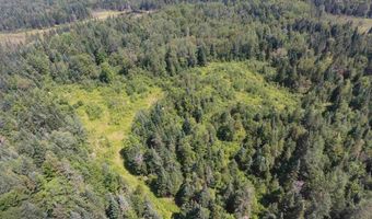 00 McConnell Pond Rd, Brighton, VT 05846