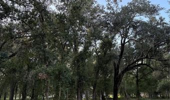 SE BROWN Road, Arcadia, FL 34266