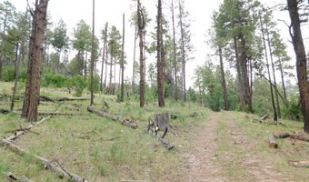 13 N2151, Alpine, AZ 85920