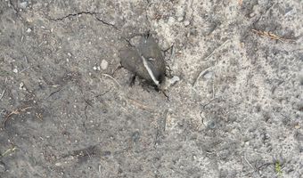 Tract 52 E 1885 Road, Antlers, OK 74523