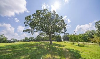 1351 State Hwy W, Ava, MO 65608