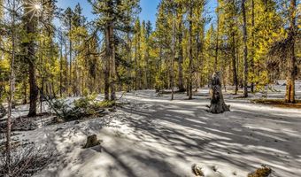 COUNTY ROAD 19 lot 0, Alma, CO 80420
