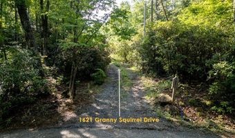 1621 Granny Squirrel Dr, Andrews, NC 28901