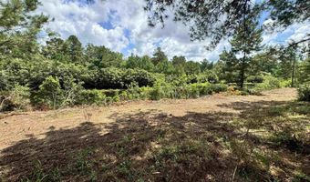 12161 Ridgeview Lp, Andalusia, AL 36421