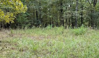 90 Mitchell Rd, Batesville, AR 72501