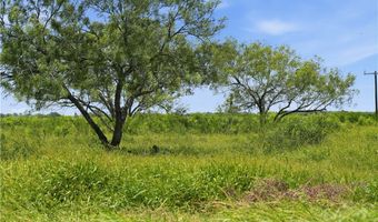 3124 County Road 220, Alice, TX 78332