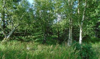 Lot 2 Greece Drive, Anchorage, AK 99516