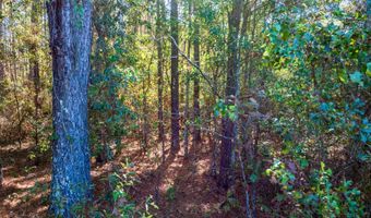 6102 Newton Rd, Albany, GA 31721