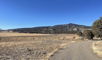 940 CR 973, Arboles, CO 81121
