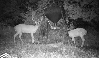 560 Th Ave, Albia, IA 52531