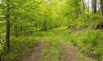 1361 Weaver Hollow Rd, Andes, NY 13731