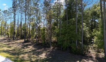 0 NE 101ST Ter, Archer, FL 32618
