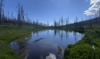 2493 Greer Rd, Bellvue, CO 80512