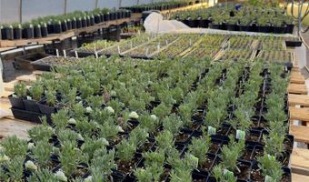 PURPLE ADOBE LAVENDER FARM 25 Private Drive 1622, Abiquiu, NM 87510