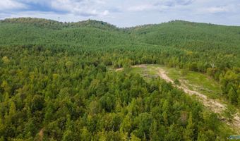 10675 29 Acres Shoal Creek Rd, Ashville, AL 35953