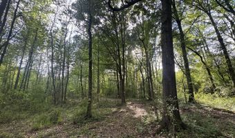 1311 N Jackson St, Brookhaven, MS 39601