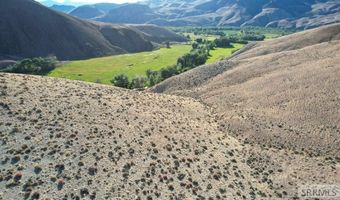 Tbd Morgan Creek Road, Challis, ID 83226