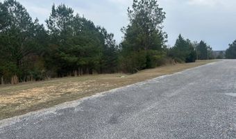 County Road 29, Alberta, AL 36720