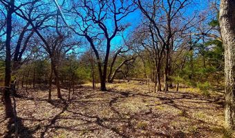 Tbd 13.7+/- Acres County Road 2560, Alvord, TX 76225