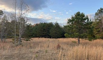 11 Acres RISER MILL ROAD Lot 11 Acres, Alpine, AL 35014
