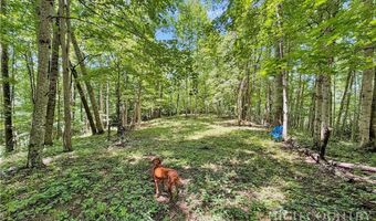 321 Grays Shadow Ln, Banner Elk, NC 28604