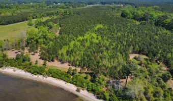 Burton Farm Road, Arapahoe, NC 28510
