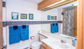 30 Christmas Mountain Rd H30, Bartlett, NH 03812