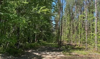 000 Bounty Acres Rd W, Bennettsville, SC 29512