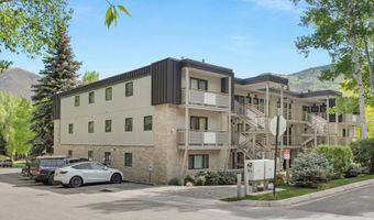 100 E Dean St 1D, Aspen, CO 81611