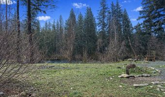 54480 McKenzie River Dr, Blue River, OR 97413