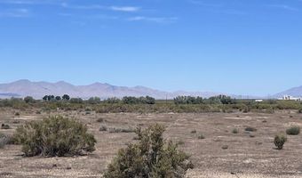 N Farren Avenue, Golconda, NV 89414