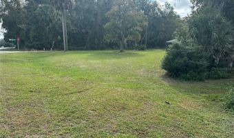 54901 CEDAR CREST Rd, Astor, FL 32102
