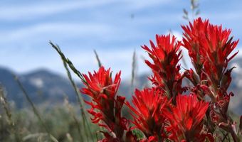 Rio Lane, Belfry, MT 59008