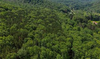 738 Four Mile Rd, Allegany, NY 14706