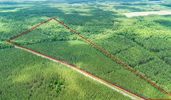 Ten Acre Rd, Andrews, SC 29510