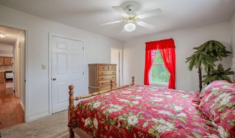 1520 Ripley Island Rd, Afton, TN 37616
