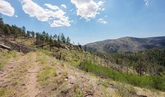 693 Cougar Dr, Bellvue, CO 80512