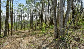 61 AC Hidden Cove Ln, Allons, TN 38541
