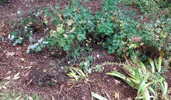 518 Western Ave, Berlin, NH 03570