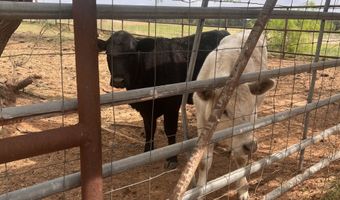 2548 County Road 2690, Alvord, TX 76225