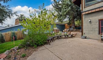 307 E Sopris Dr, Basalt, CO 81621