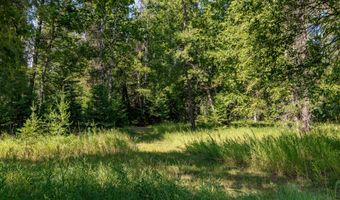 541 Alpine Dr, Bigfork, MT 59911