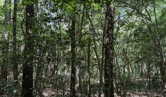 county road 222, Abbeville, AL 36310