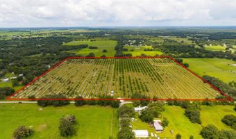 SW CARLTON Avenue, Arcadia, FL 34266