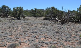 N8604, Concho, AZ 85924