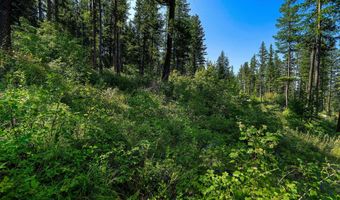 631 Saddlehorn Trl, Bigfork, MT 59911